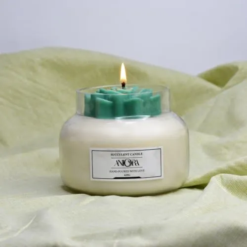 ANIORA Succulent soy candle Living Room Decor Suitable for Home Décor, Armotherapy & Gift Purpose