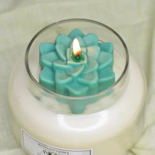ANIORA Succulent soy candle Living Room Decor Suitable for Home Décor, Armotherapy & Gift Purpose
