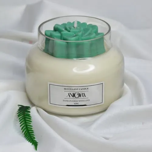 ANIORA Succulent soy candle Living Room Decor Suitable for Home Décor, Armotherapy & Gift Purpose