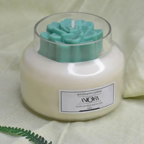 ANIORA Succulent soy candle Living Room Decor Suitable for Home Décor, Armotherapy & Gift Purpose