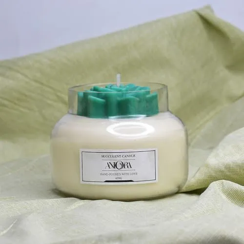 ANIORA Succulent soy candle Living Room Decor Suitable for Home Décor, Armotherapy & Gift Purpose