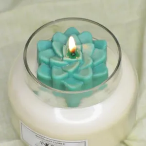 ANIORA Succulent soy candle Living Room Decor Suitable for Home Décor, Armotherapy & Gift Purpose