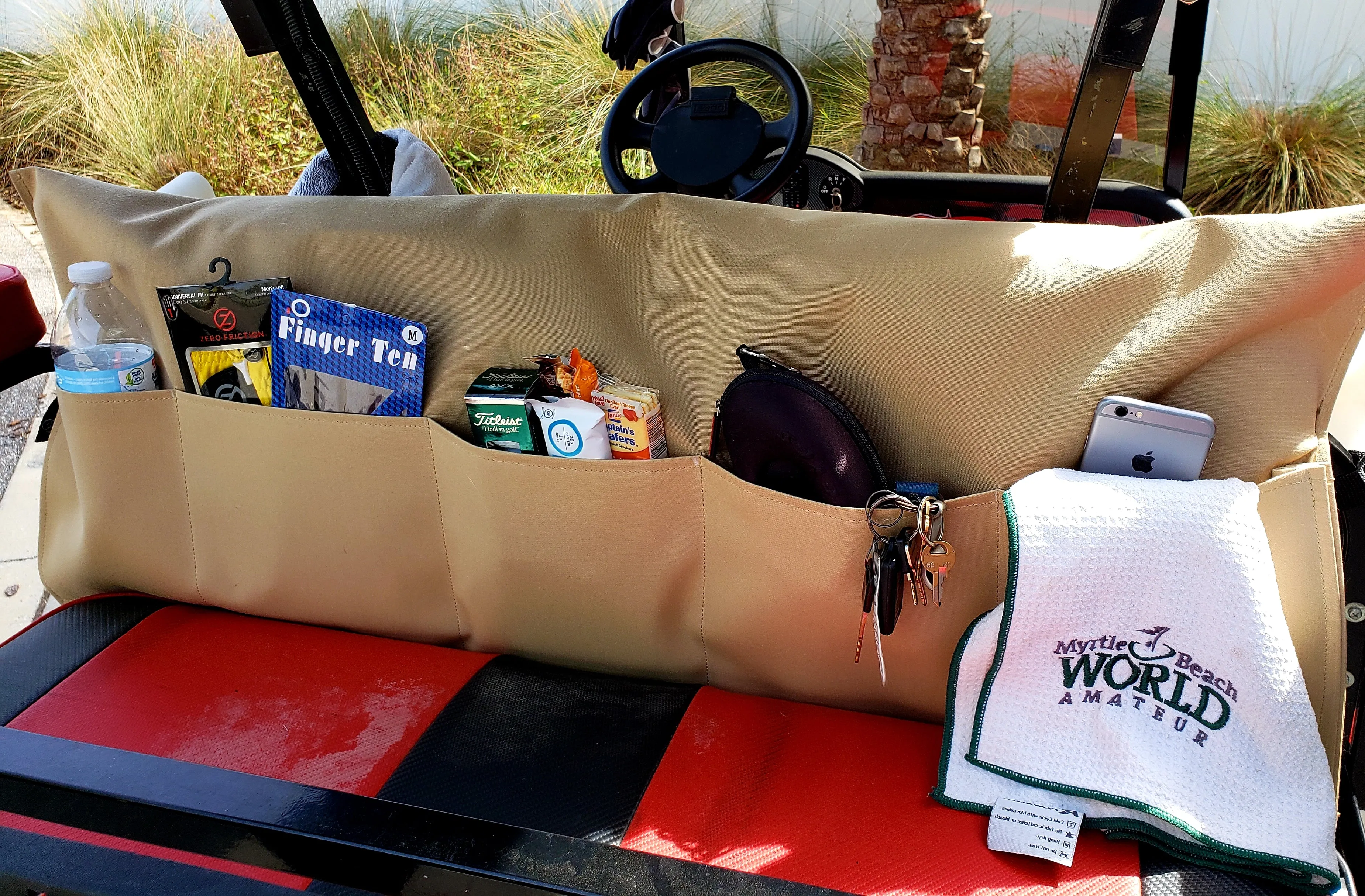 Back Seat Caddy
