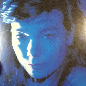 BJORK - TELEGRAM VINYL