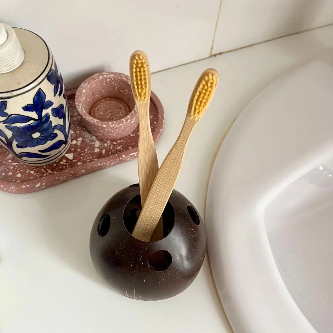 Coconut Shell Toothbrush Holder (Set of 1)