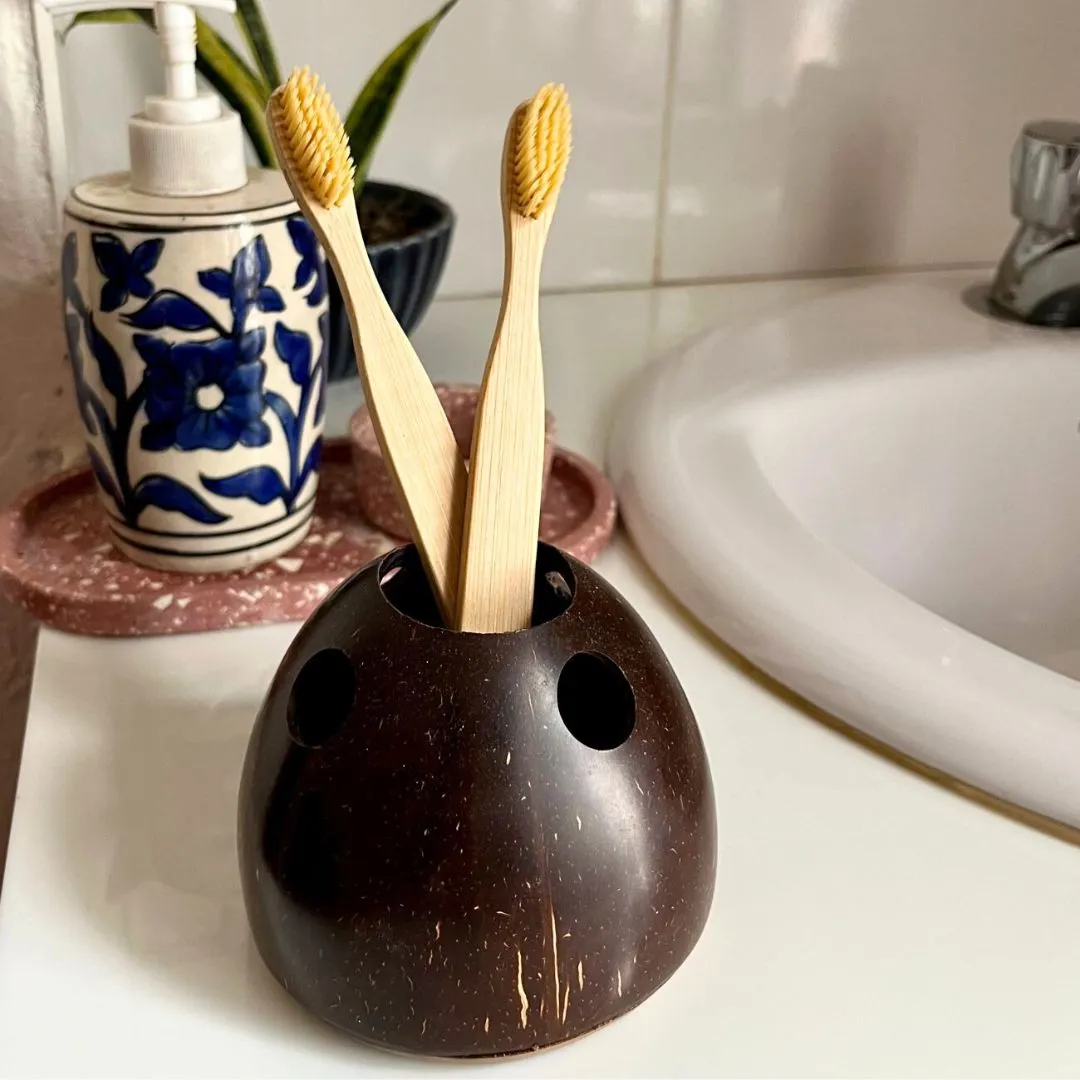 Coconut Shell Toothbrush Holder (Set of 1)