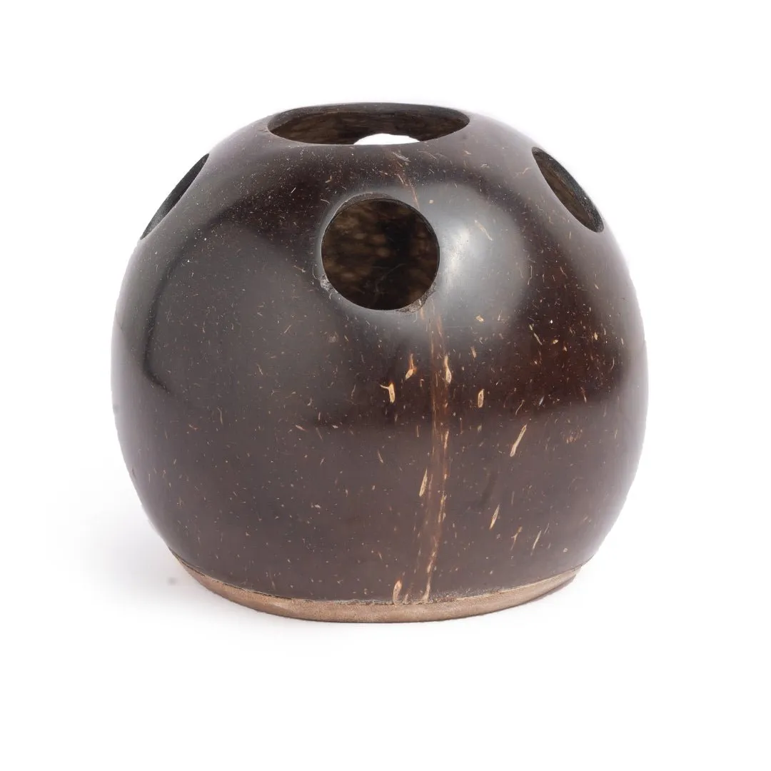 Coconut Shell Toothbrush Holder (Set of 1)