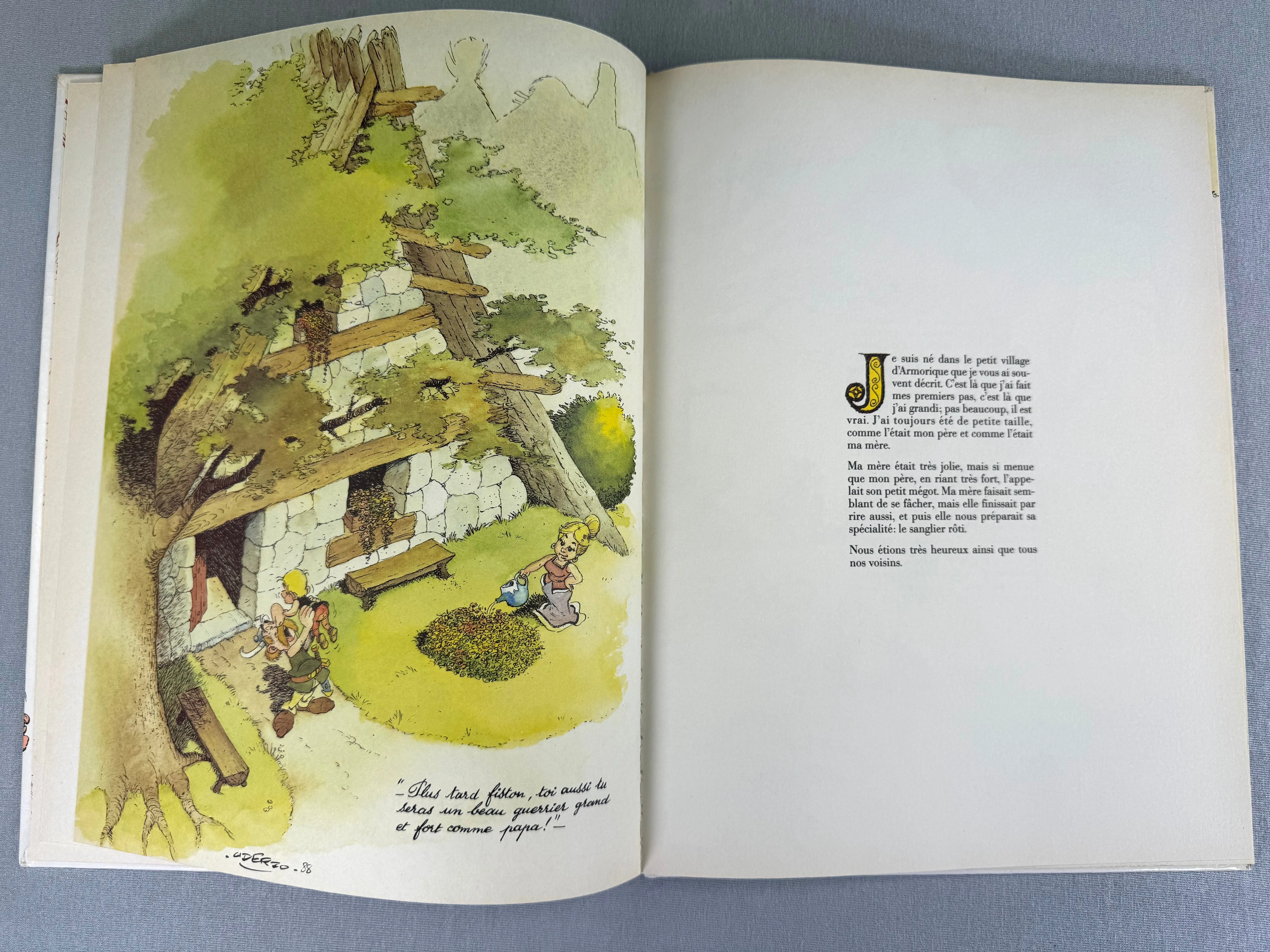 Comment Obelix Est Tombe dans la Marmite du Druide Quand Il Etait Petit 1989 1st French Edition Rare HB EO