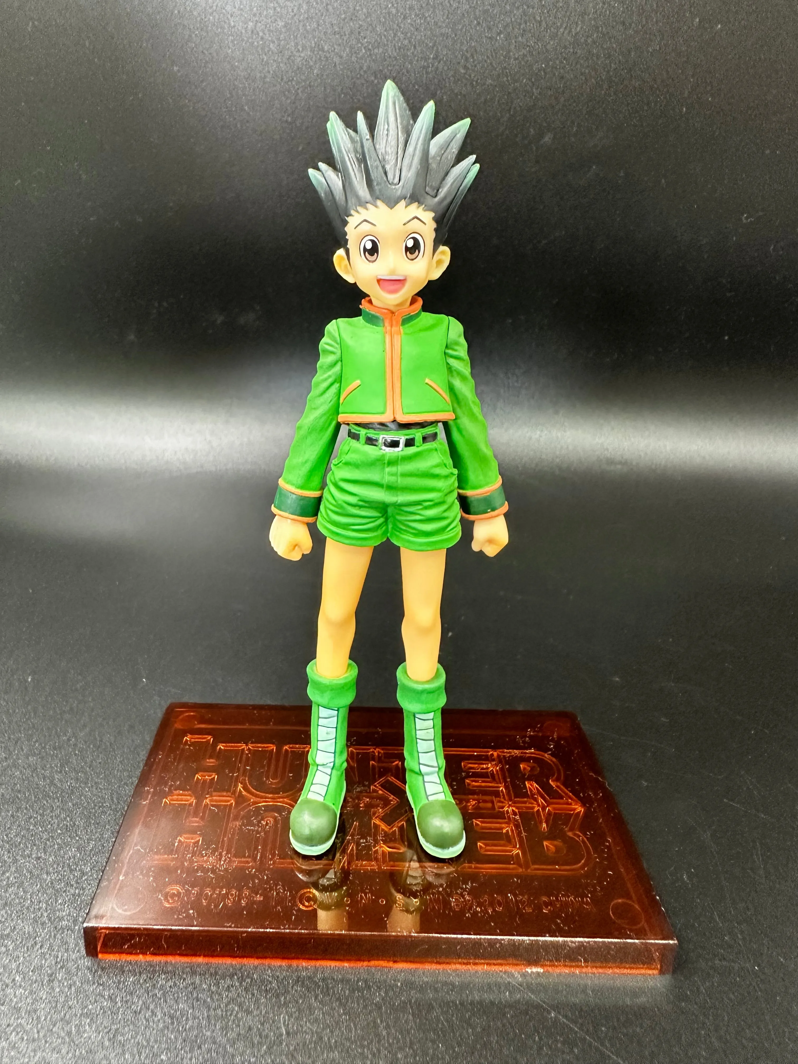 hunter x hunter GON