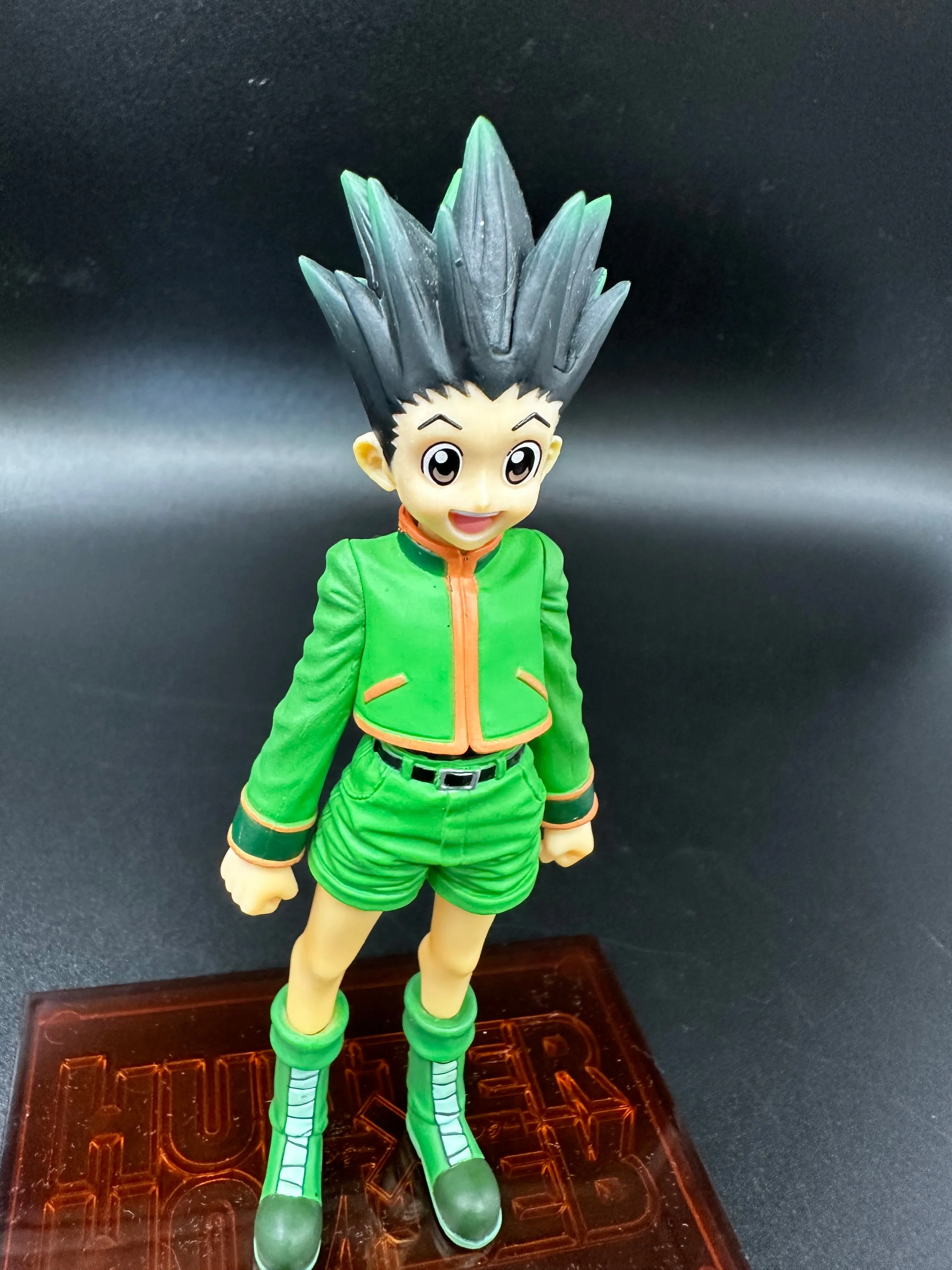hunter x hunter GON