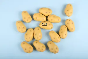Katie Kimmel - "Haunted Potato" stress ball