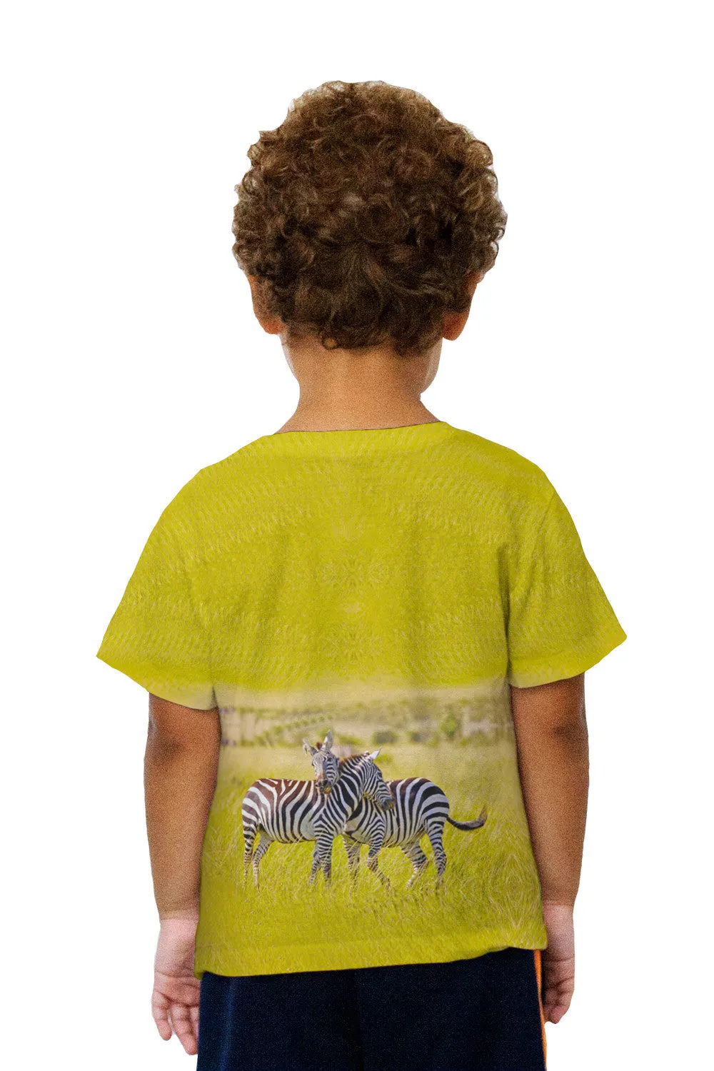 Kids Friendly Zebras