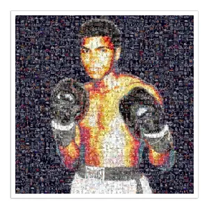 Muhammad Ali Boxer