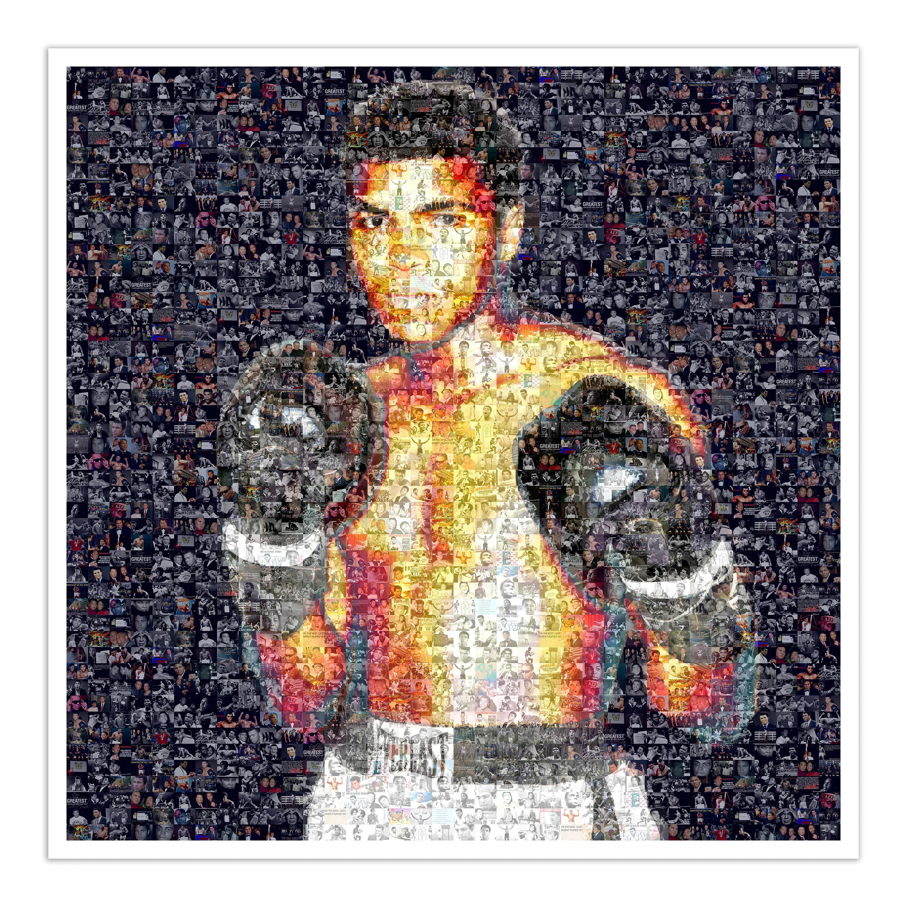 Muhammad Ali Boxer