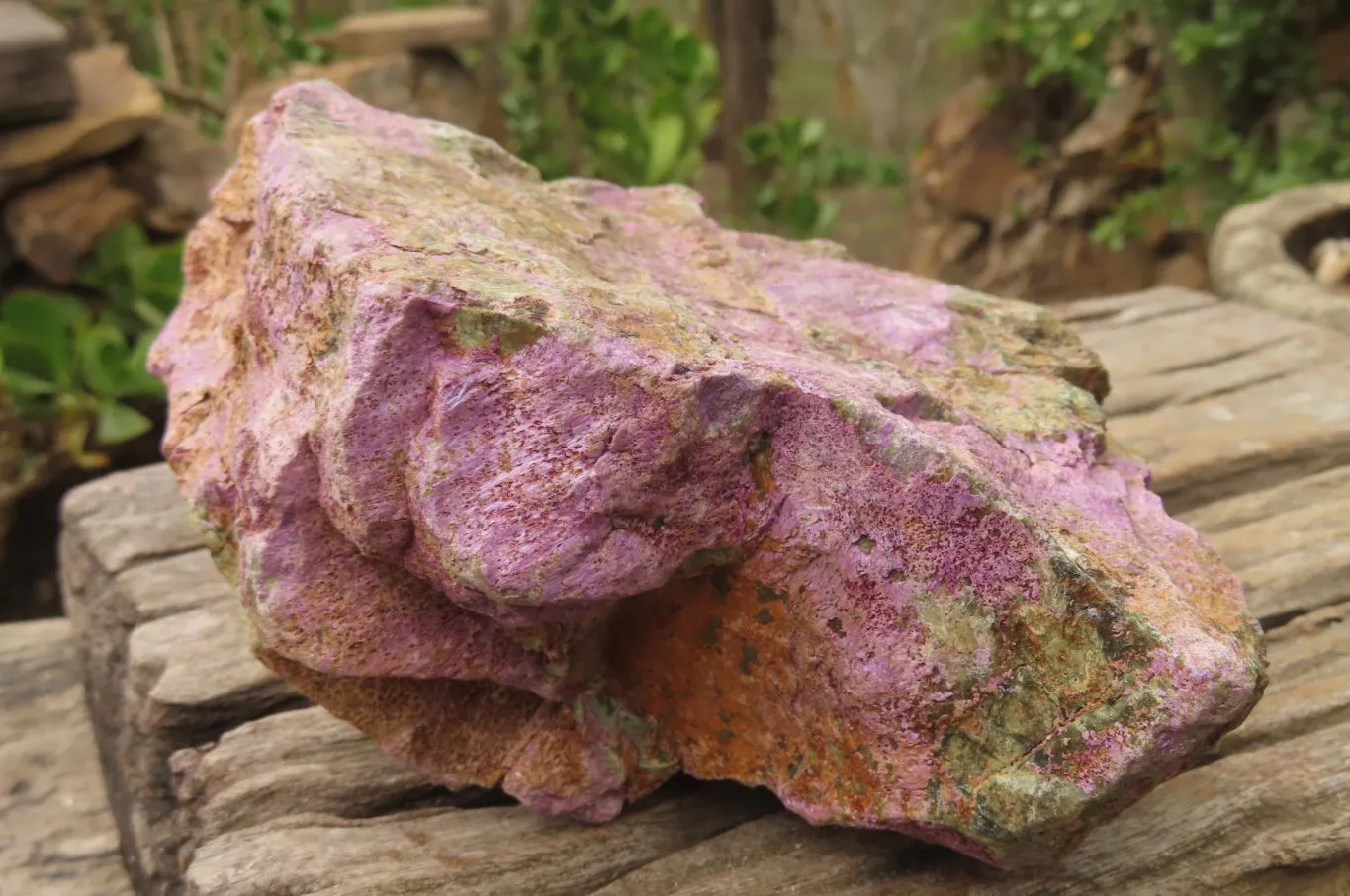 Natural Stichtite Specimens x 2 From Barberton, South Africa