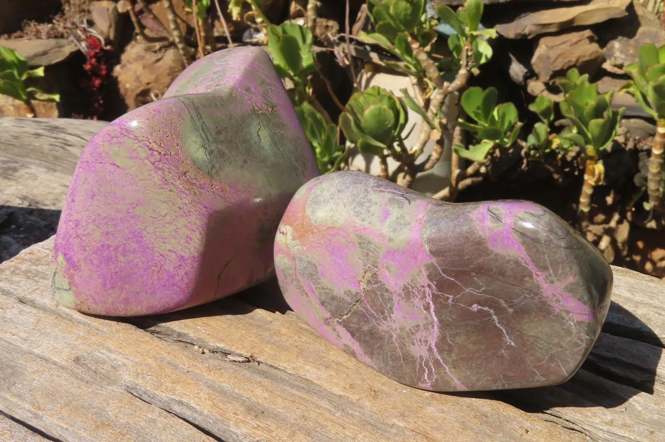 Polished Stichtite Standing Free Forms x 2 From Barberton, South Africa
