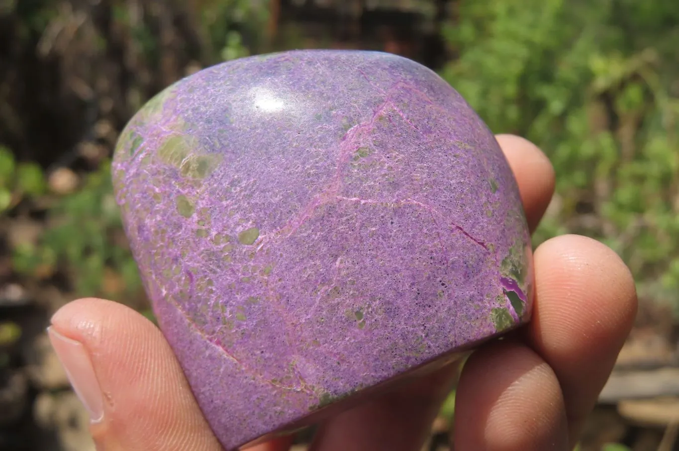 Polished Stichtite Standing Free Forms x 6 From Barberton, South Africa