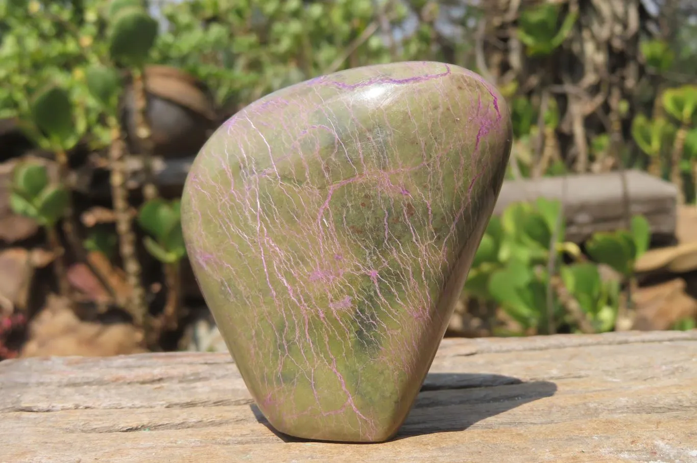 Polished Stichtite Standing Free Forms x 6 From Barberton, South Africa