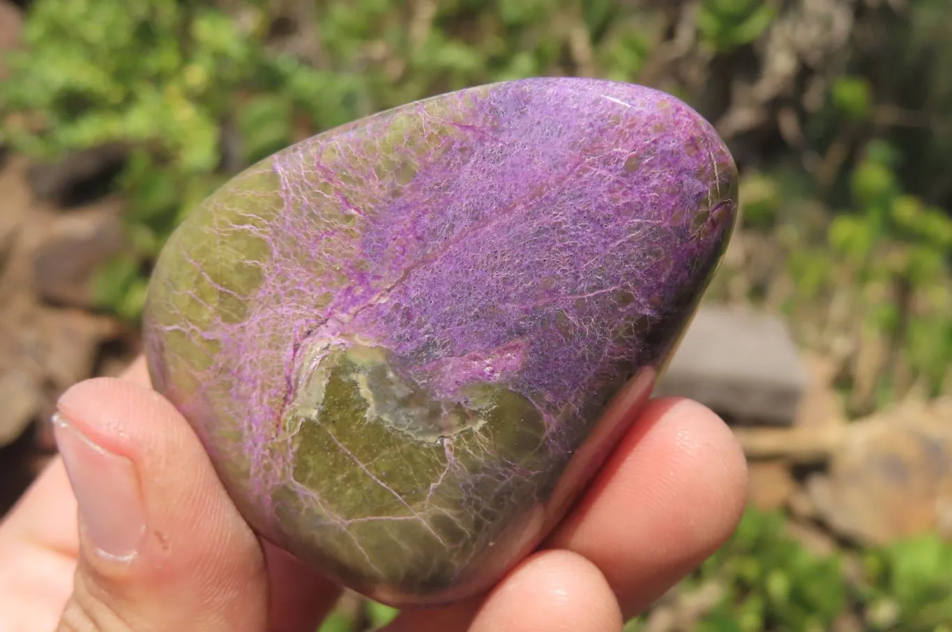 Polished Stichtite Standing Free Forms x 6 From Barberton, South Africa