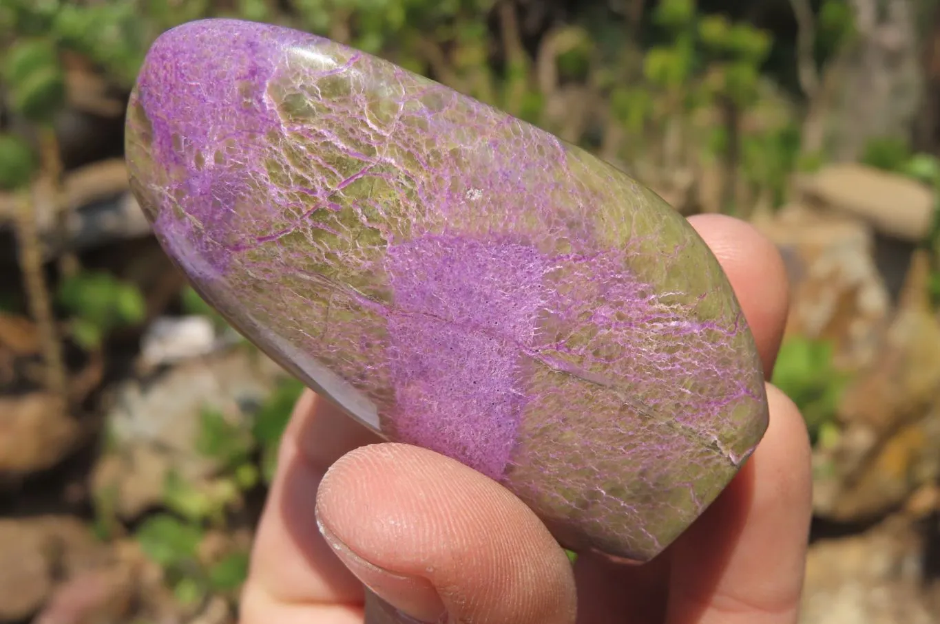 Polished Stichtite Standing Free Forms x 6 From Barberton, South Africa