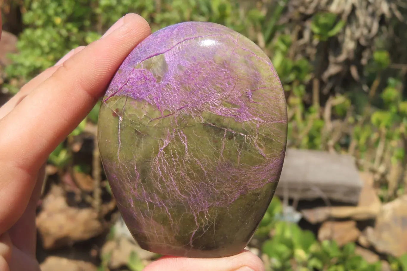Polished Stichtite Standing Free Forms x 6 From Barberton, South Africa