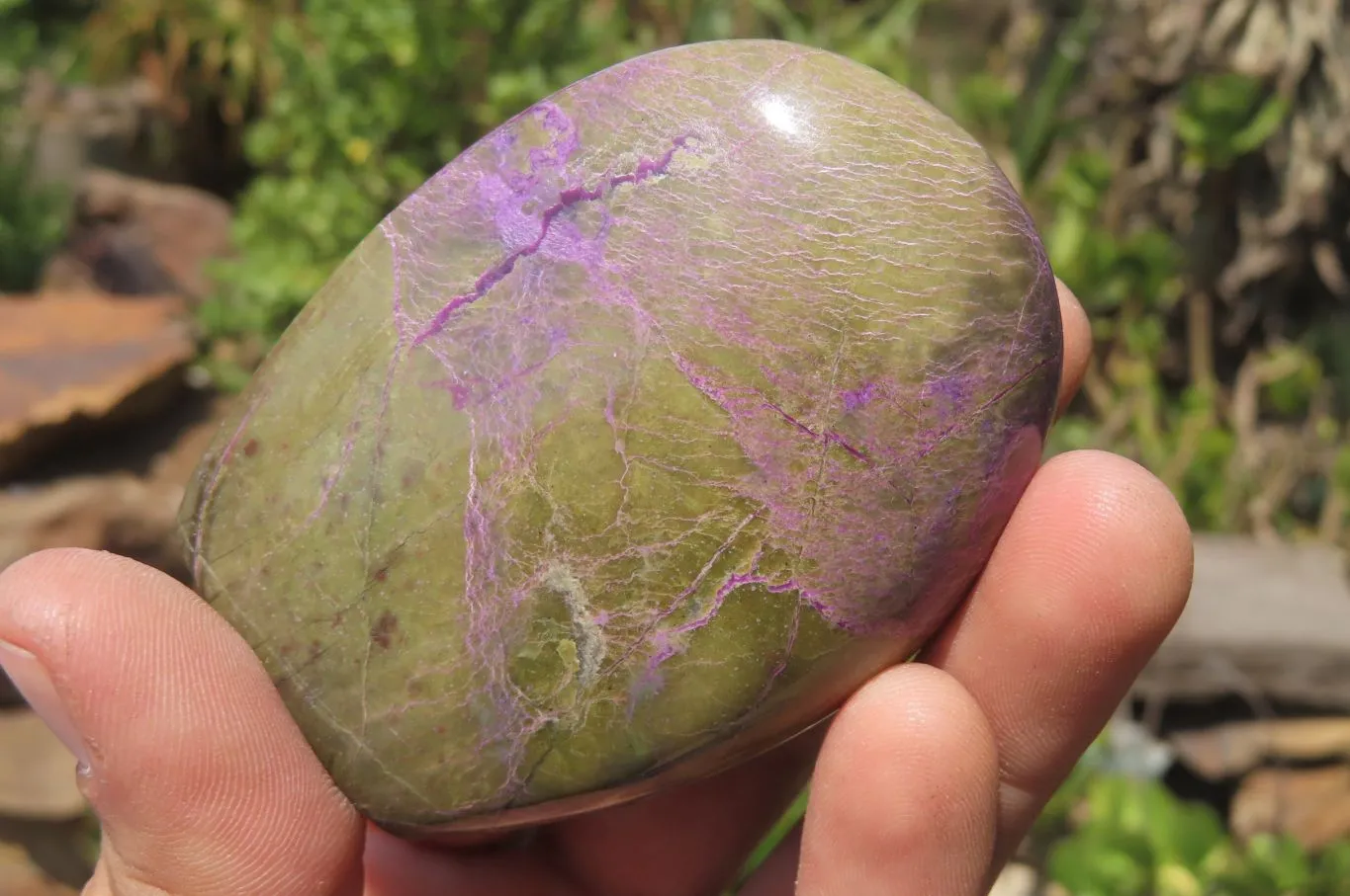 Polished Stichtite Standing Free Forms x 6 From Barberton, South Africa