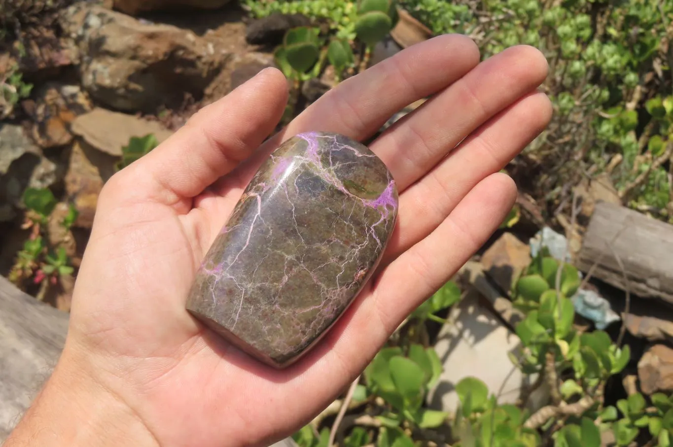 Polished Stichtite Standing Free Forms x 6 From Barberton, South Africa