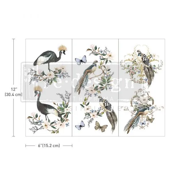 Rare Birds - Transfers