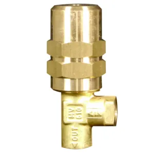 Razorback Sandia 500Psi Regulator/Bypass Valve Pumptec