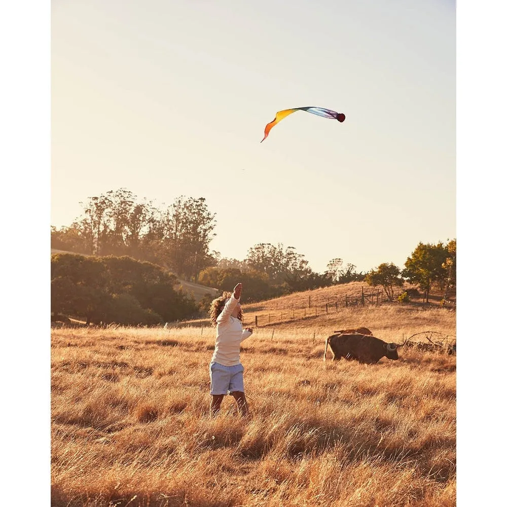 Sarah's Silks Rainbow Skytail