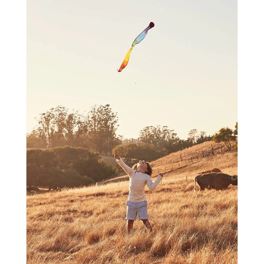 Sarah's Silks Rainbow Skytail