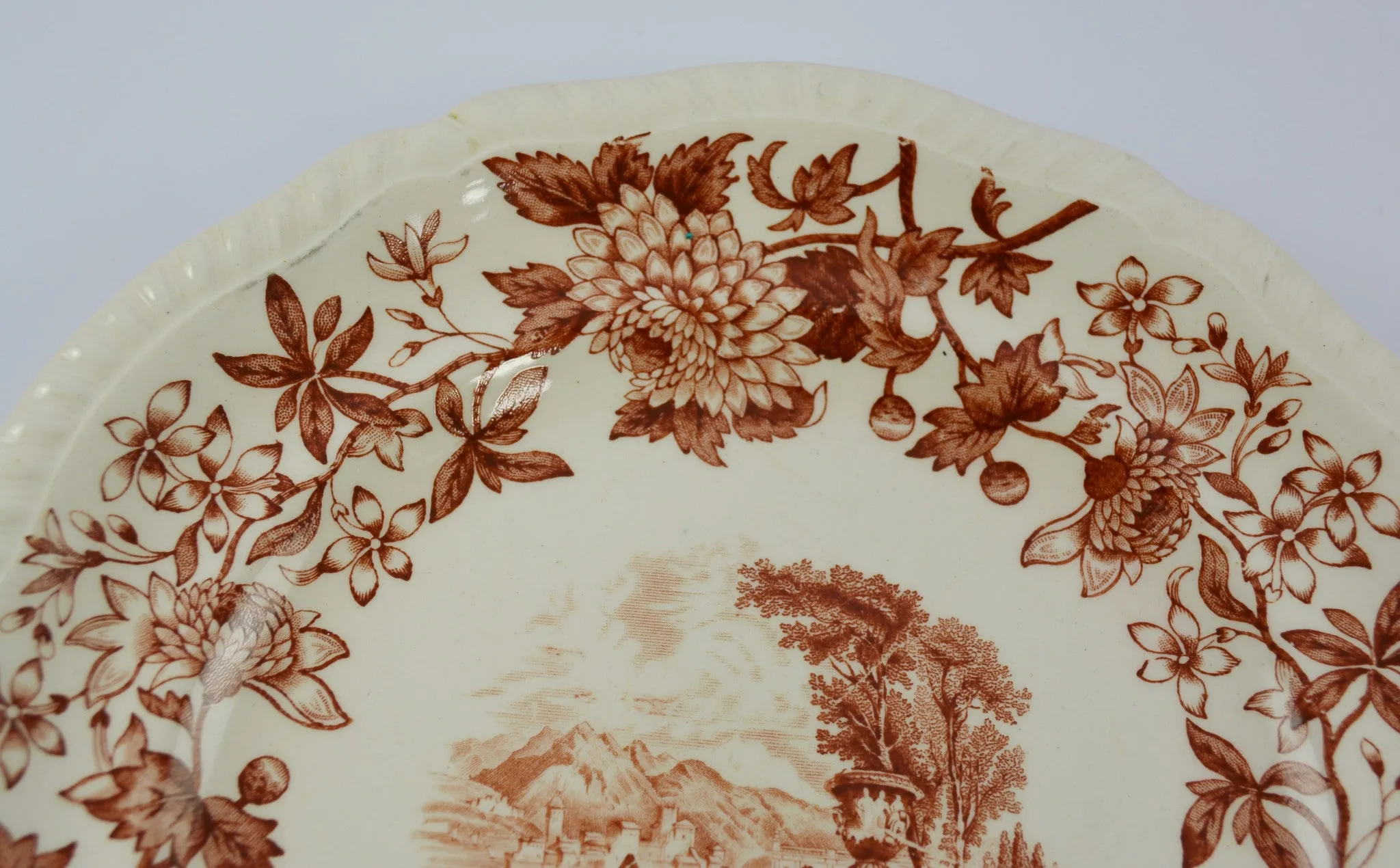 Vintage Spode Aster Brown Transferware 8" Salad Plate Copeland Beverley Italian Countryside